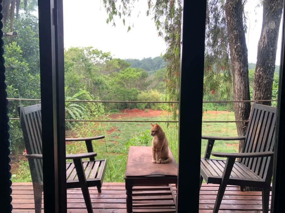 L'Amant Homestay Далат Екстер'єр фото